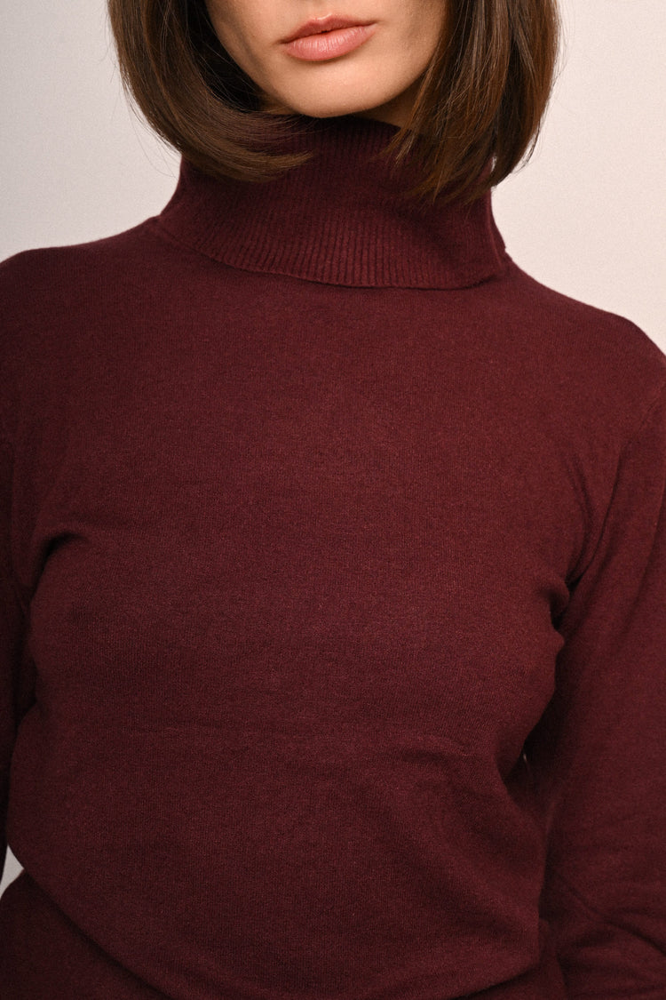 Wool-blend turtleneck