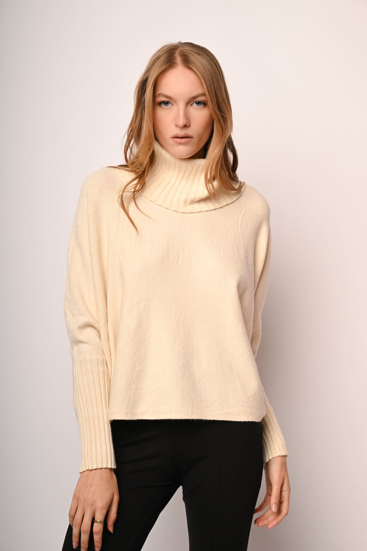 Batwing sleeves oversized turtleneck