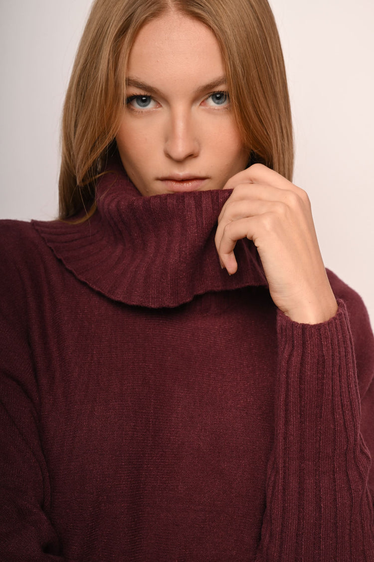 Batwing sleeves oversized turtleneck