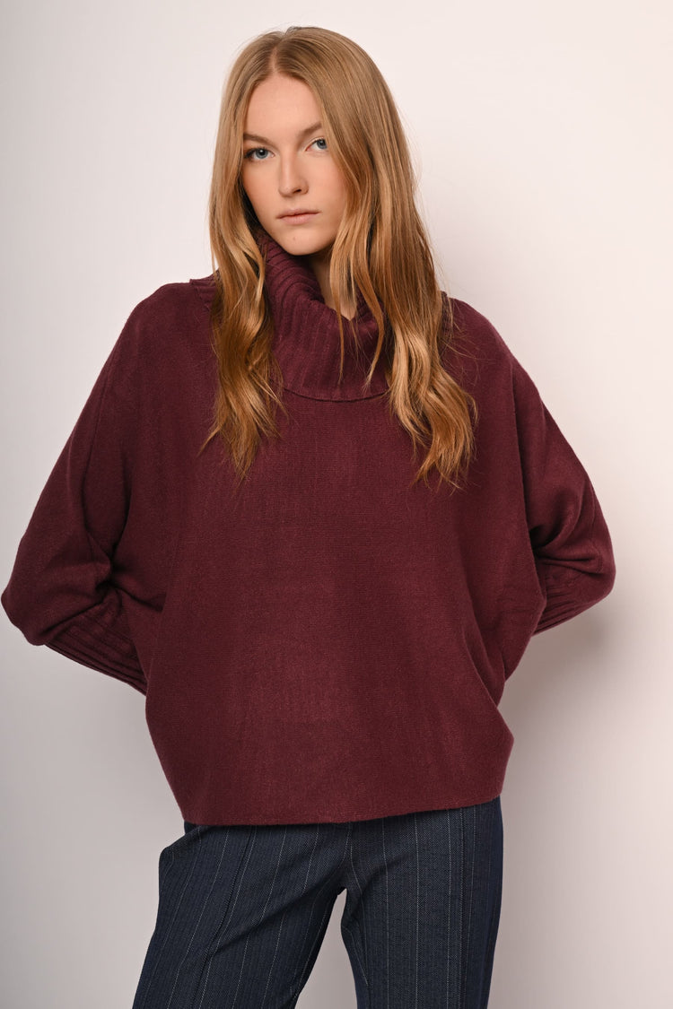 Batwing sleeves oversized turtleneck