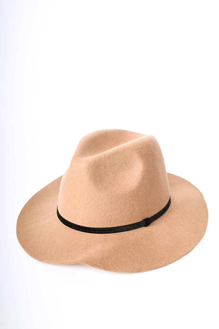 Wide brim fedora hat