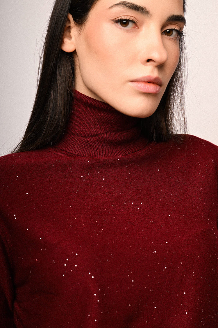 All-over mini sequins turtleneck