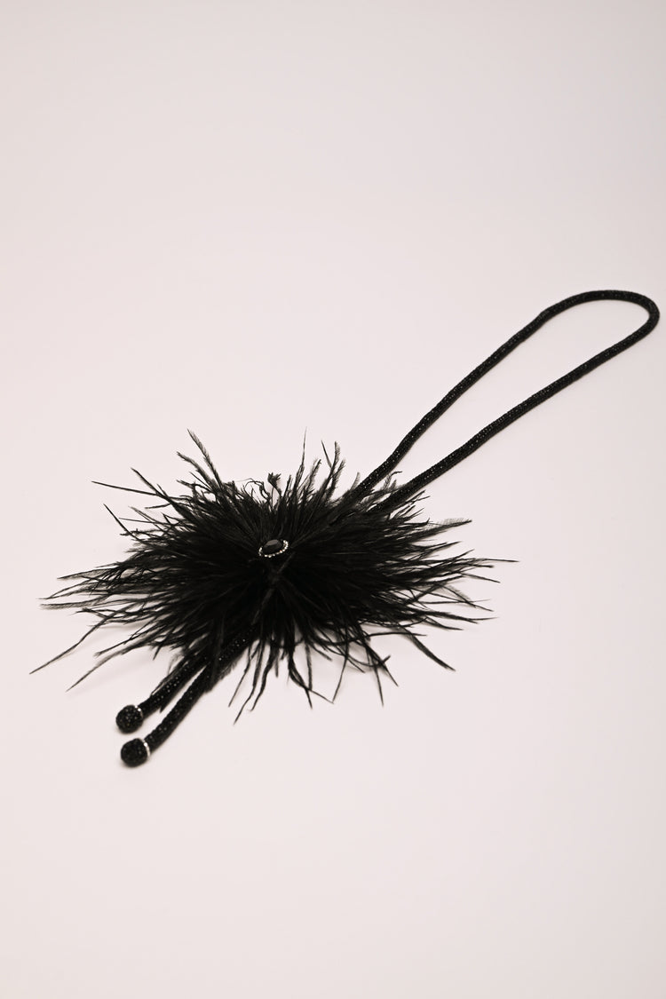 Feathers long necklace