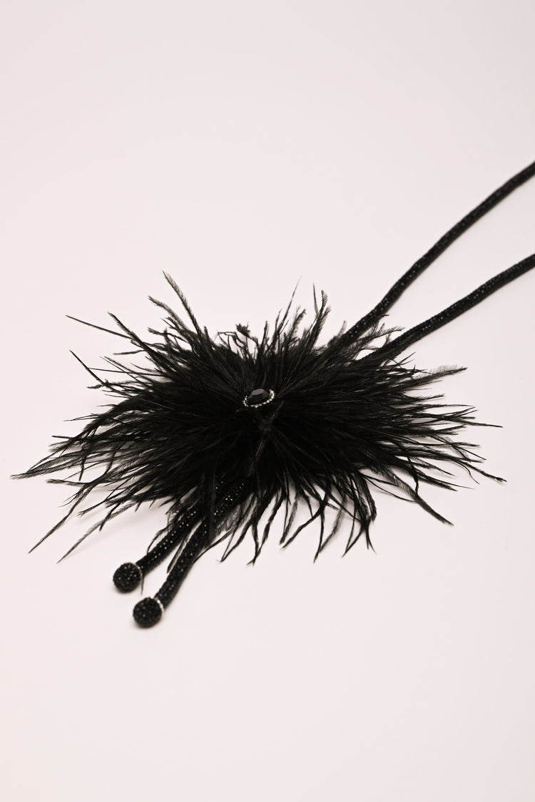 Feathers long necklace
