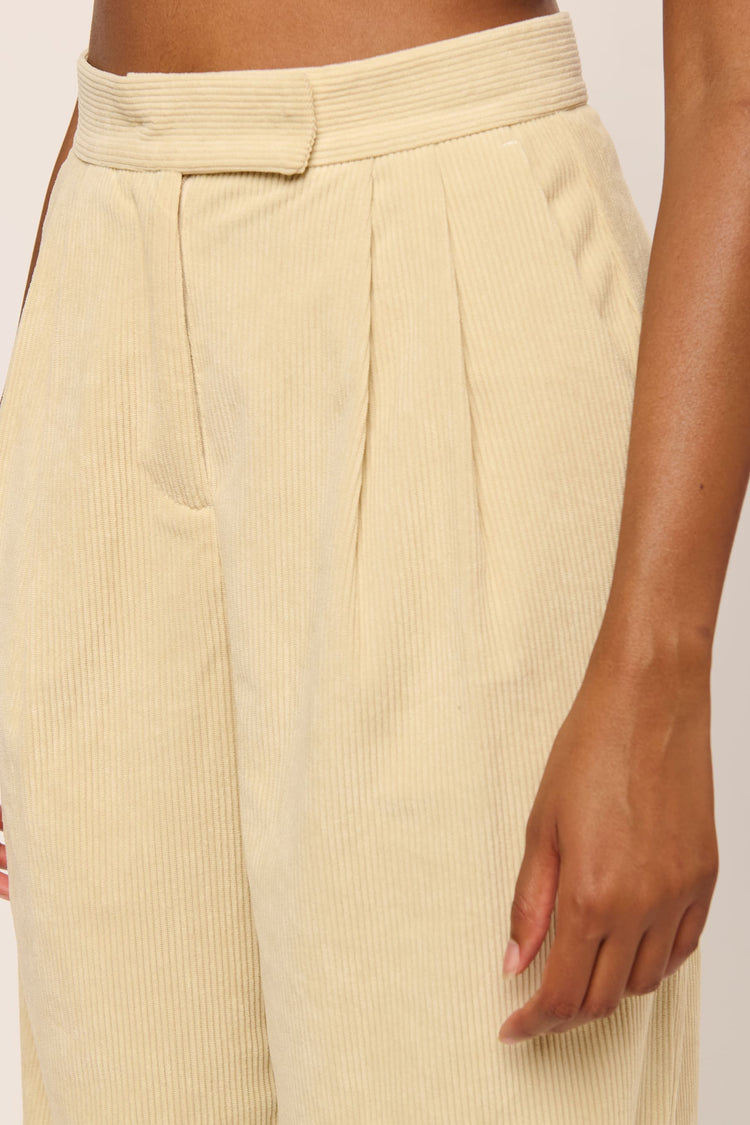 Pantaloni palazzo velluto