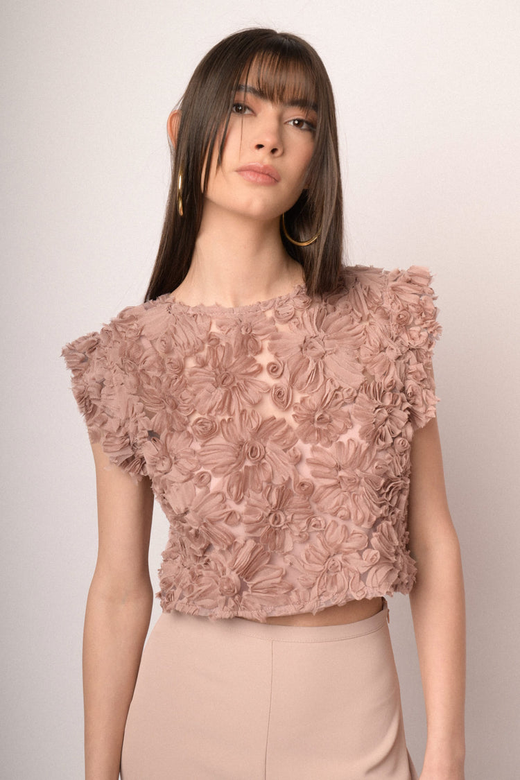 Blush floral lace cropped top