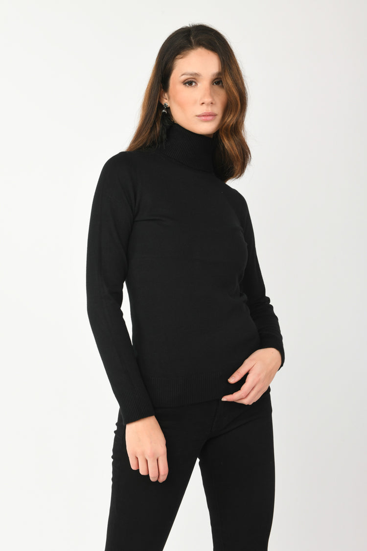 Viscose-blend turtleneck