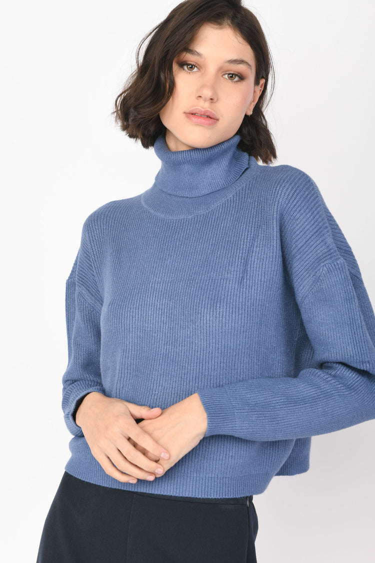 Cropped turtleneck