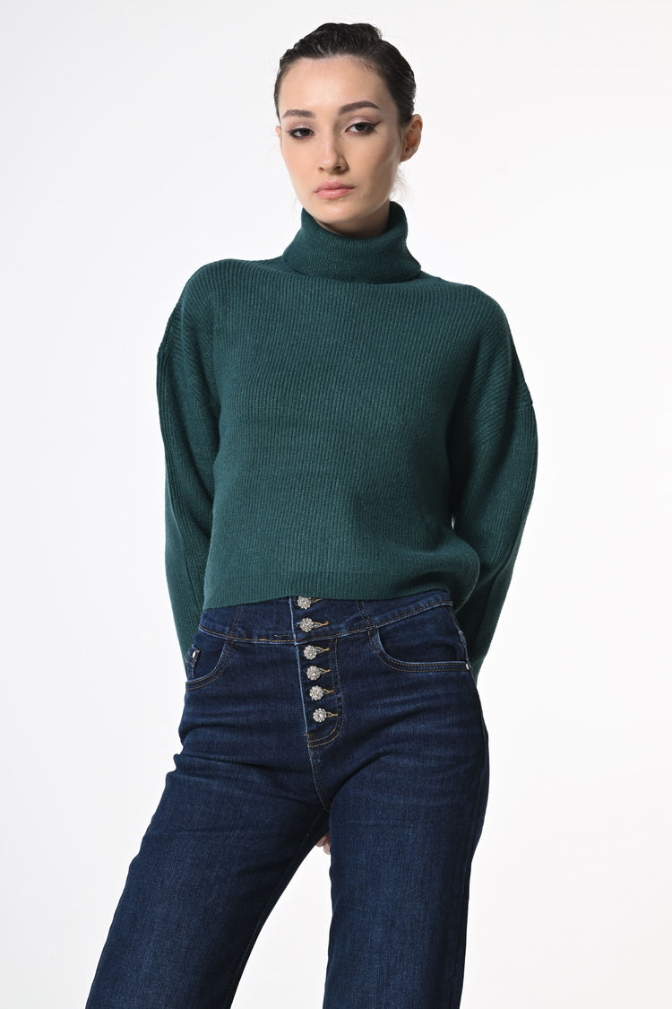 Ribbed knit cropped turtleneck