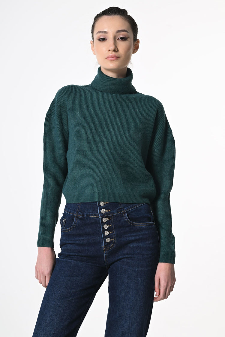 Ribbed knit cropped turtleneck