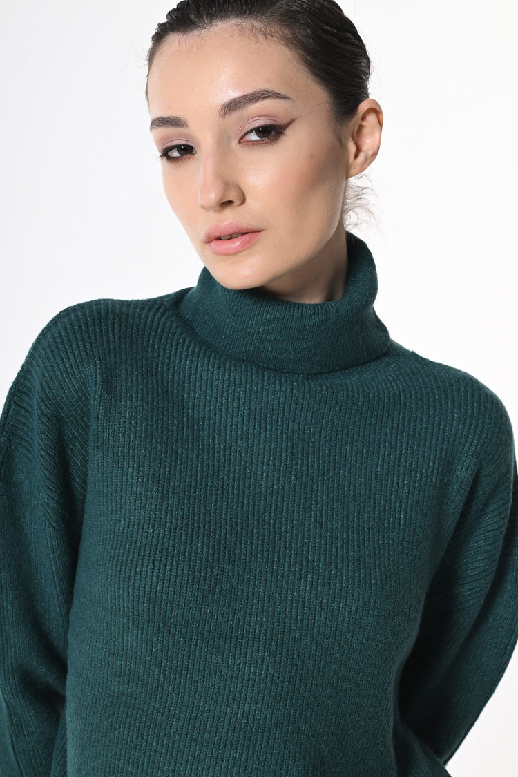 Ribbed knit cropped turtleneck