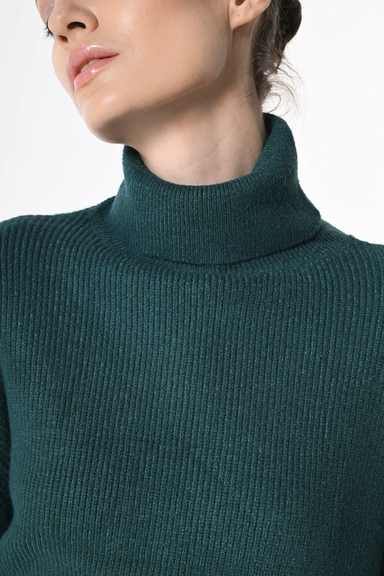 Ribbed knit cropped turtleneck