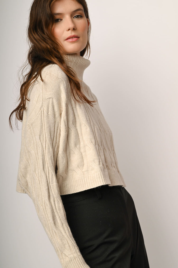 Cable-knit cropped turtleneck