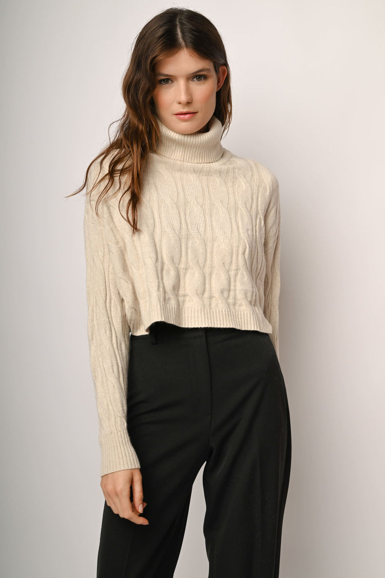Cable-knit cropped turtleneck