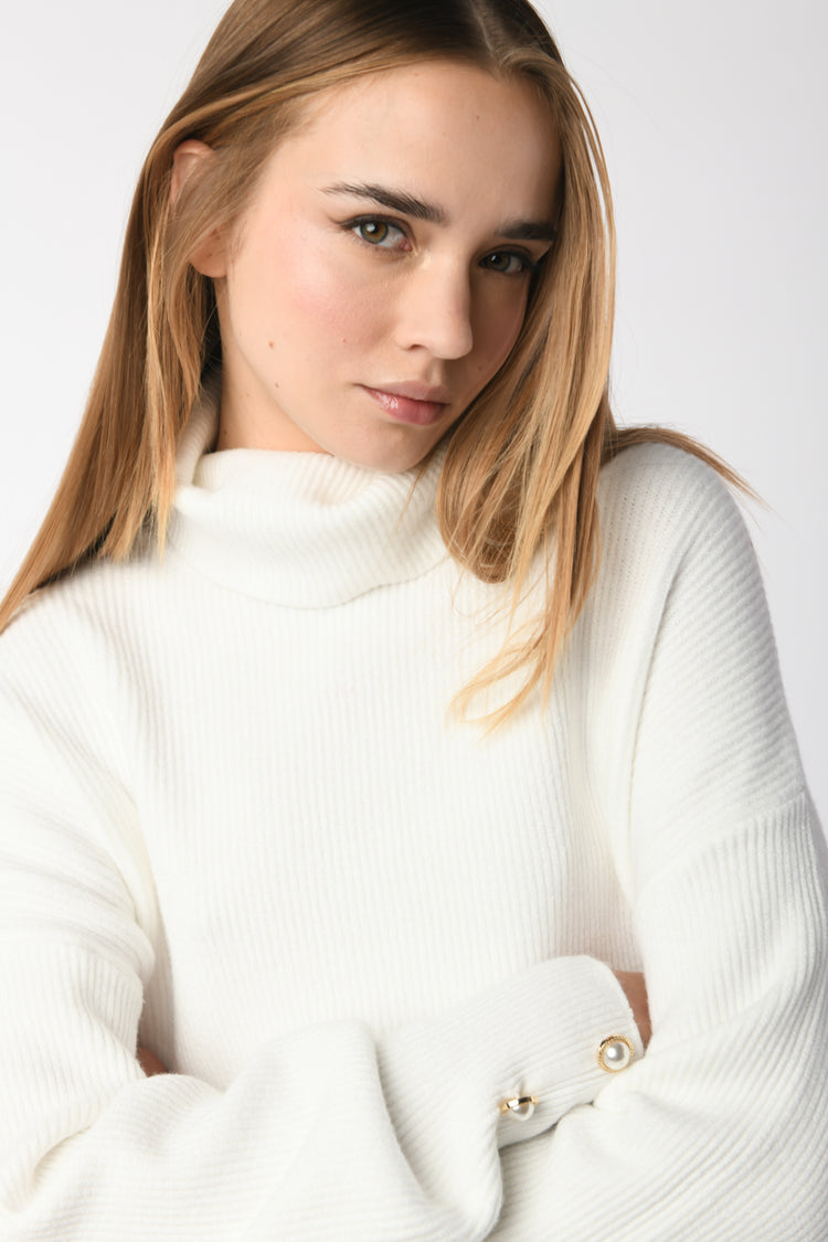 Ribbed knit turtleneck