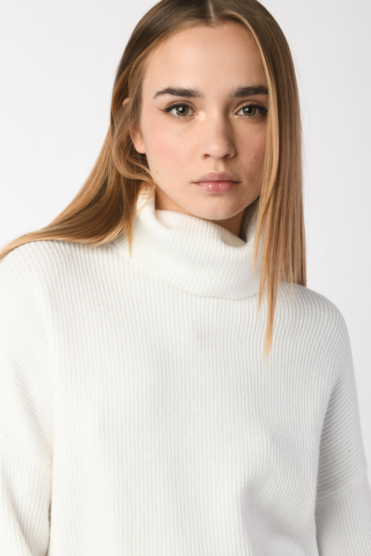 Ribbed knit turtleneck