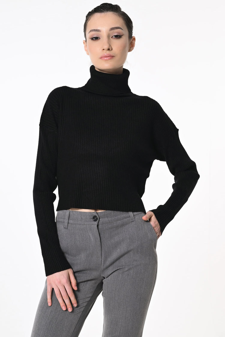 Ribbed knit cropped turtleneck