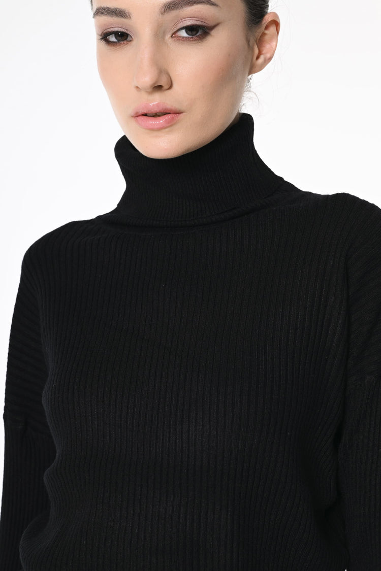 Ribbed knit cropped turtleneck