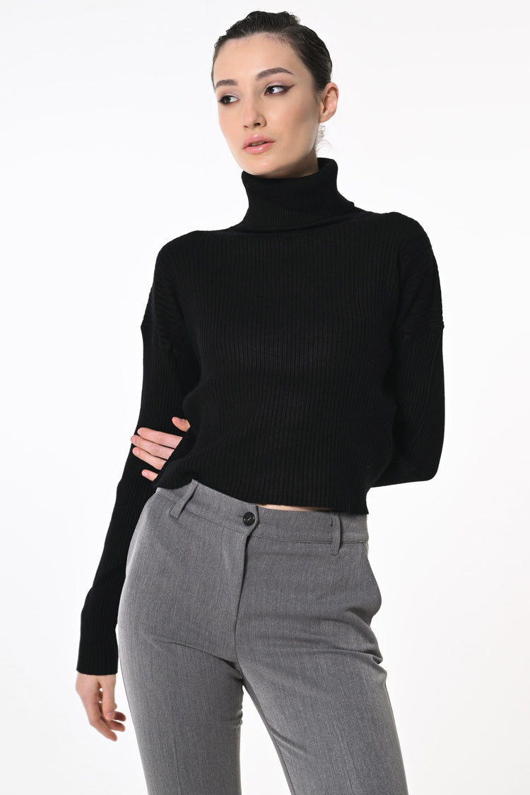 Ribbed knit cropped turtleneck