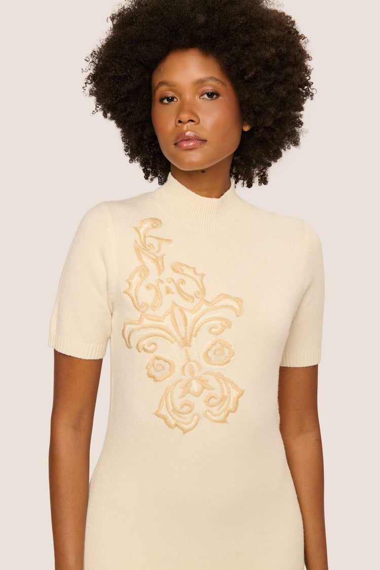 Embroidered knit mini dress