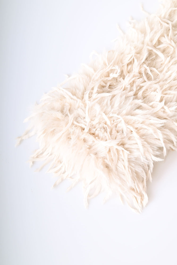 Feathers scarf